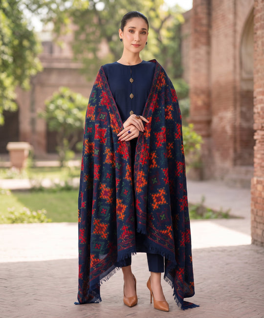 Bareeze Embroidered Dhanak 3PC